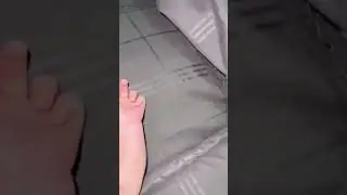 семья 