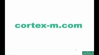 Cortex-M First Assembly Project (Part 1)