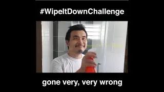 So I did the #WipeItDownChallenge and...