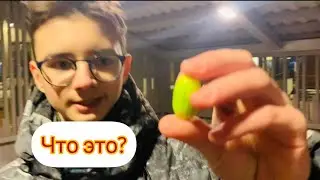 Обзор на мармеладные конфеты дыня