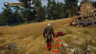 The Witcher 3 | Unnamed Boar's Quest