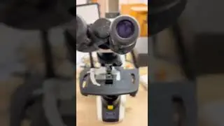 Human tears under the microscope!