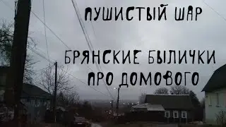 🏚 На кого похож домовой | Домовые | В. Д. Глебов | Брянские былички | 76–85