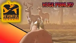 HUGE Piebald whitetail with the old pistol in great one grind