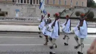 Funny dog walking with the soldiers