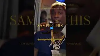 Sample this Young Thug Loop 🐍  
