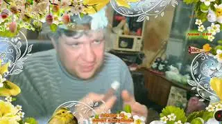 Кинаман, Култхард и Денди. Канал бухла и позитива.