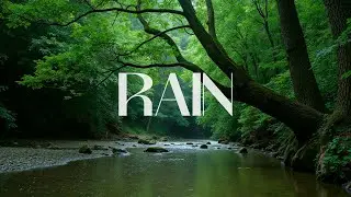 Sound of Nature | Rain | Instrumental for calm and relax.