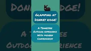Tennessee Glamping at Donkey Ridge #glamping #glampinglife #donkeys