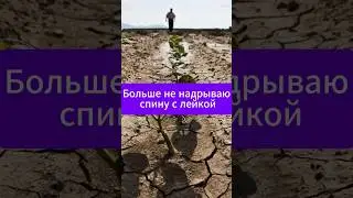 Больше не надрываюсь с поливом огорода  #дача #огород #полив #лайфхаки