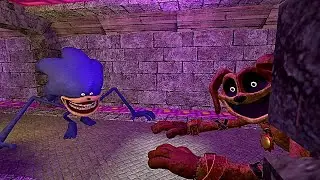 I'm attacked by DOGDAY and NEW SONIC TAPES HORROR MONSTER