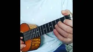 Кукарача на укулеле
