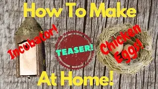How to make an Incubator at home! | TEASER | Pop Some Chicken Eggs! | Full Video Comming Soon!