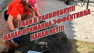 НА ЧТО ЛУЧШЕ ЛОВИТЬ РАКОВ ? РЫБАЛКА НА РАКОВ 2024 / КАКОЙ ШТРАФ ЗА РАКОВ?#раки #рыбалка