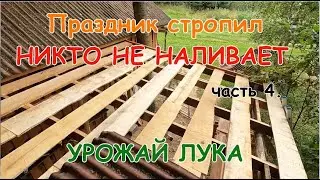 Крыша почти готова.Урожай лука.Часть 4.