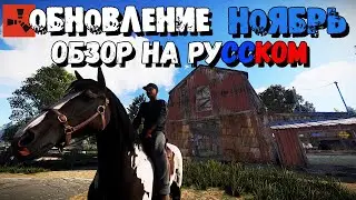 Обновление RUST — Ноябрь 2020 