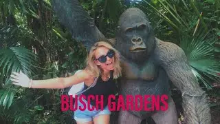 rollercoasters and cute animals for 7 minutes.