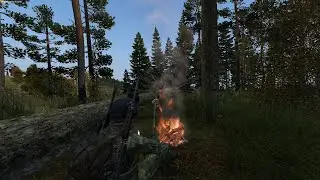 DAYZ | Вечерний стрим, сидим общаемся