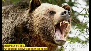 Легенда о Медведь - горе