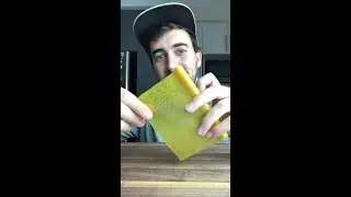 Homemade Mango Fruit Roll Up