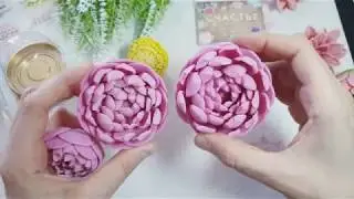 Видеообзор от магазина Мыльная вечеринка. Астры, пионы и др.