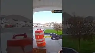 Новый ВИД кражи ПОСЫЛОК | новости сегодня | #shorts #новости #новостисегодня #россия
