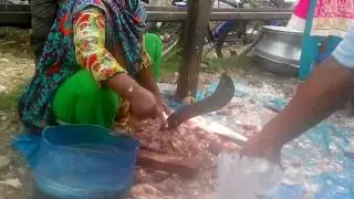 Incredible Big Pangasius Fish Cutting in KawronBazer Fish Market Dhaka Bangladesh