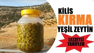 KİLİS KIRMA YEŞİL ZEYTİNİ