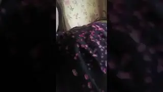 Пою