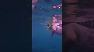 Anushka Sen in Bra Panty| Beach Enjoy| #anushkasen Naked in Water