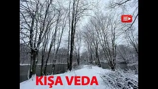 KIŞA VEDA