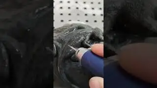из камня, но как живая!!!