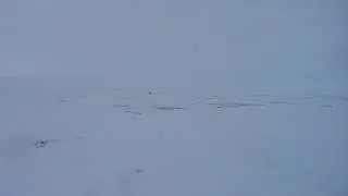 Охота и рыбалка на Чукотке. Озеро. Мелкая Щука. Лиса