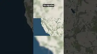 The Empty West Coast (3/6) 