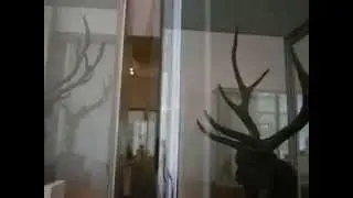 Prehistoric Antler-Protector Totems