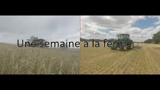 Une semaine à la ferme: moisson, fauchage, binage et déchaumage