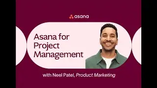 How to use Asana for project management