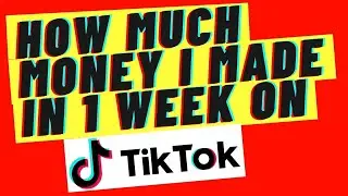 HOW TO MAKE MONEY ON TIKTOK WITH 1000 FOLLOWERS  UPDATE how much money I made on tiktok first week!