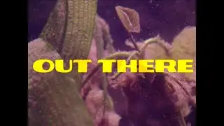 A special message from Water From Your Eyes: “Out There”