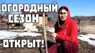 ОГОРОДНЫЙ СЕЗОН ОТКРЫТ. Один день из жизни в деревне.