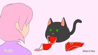Thieving Cat Steals Underwears #catlover #kitty