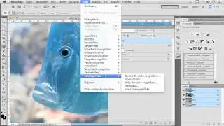 Hochpassfilter einsetzen - Adobe Photoshop CS5 für Fortgeschrittene