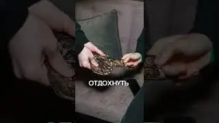 Мафия Драйв - отличное место, что бы провести время в компании друзей. А так же завести новых😉
