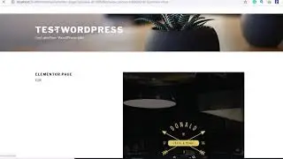 How to Enable AMP on Elementor (One Click Solution)