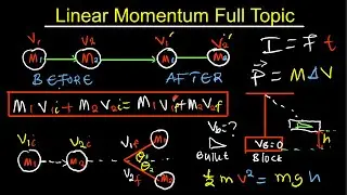 Linear  Momentum Full Topic Review