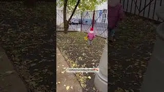 Гербарий собираем🍁🍂