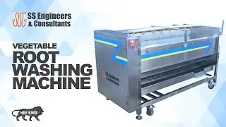 Root vegetables washing machine 