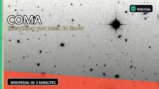 Coma (1978 film)