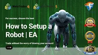 How to SETUP an Expert Advisor Robot