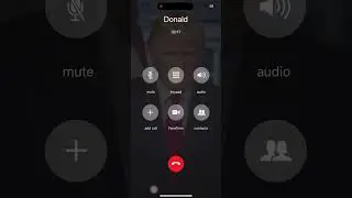Prank call from Donald Trump 🤣